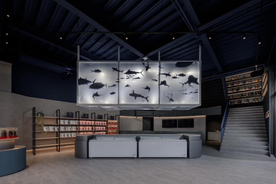 316039953_563640875770365_5123778614142816157_n